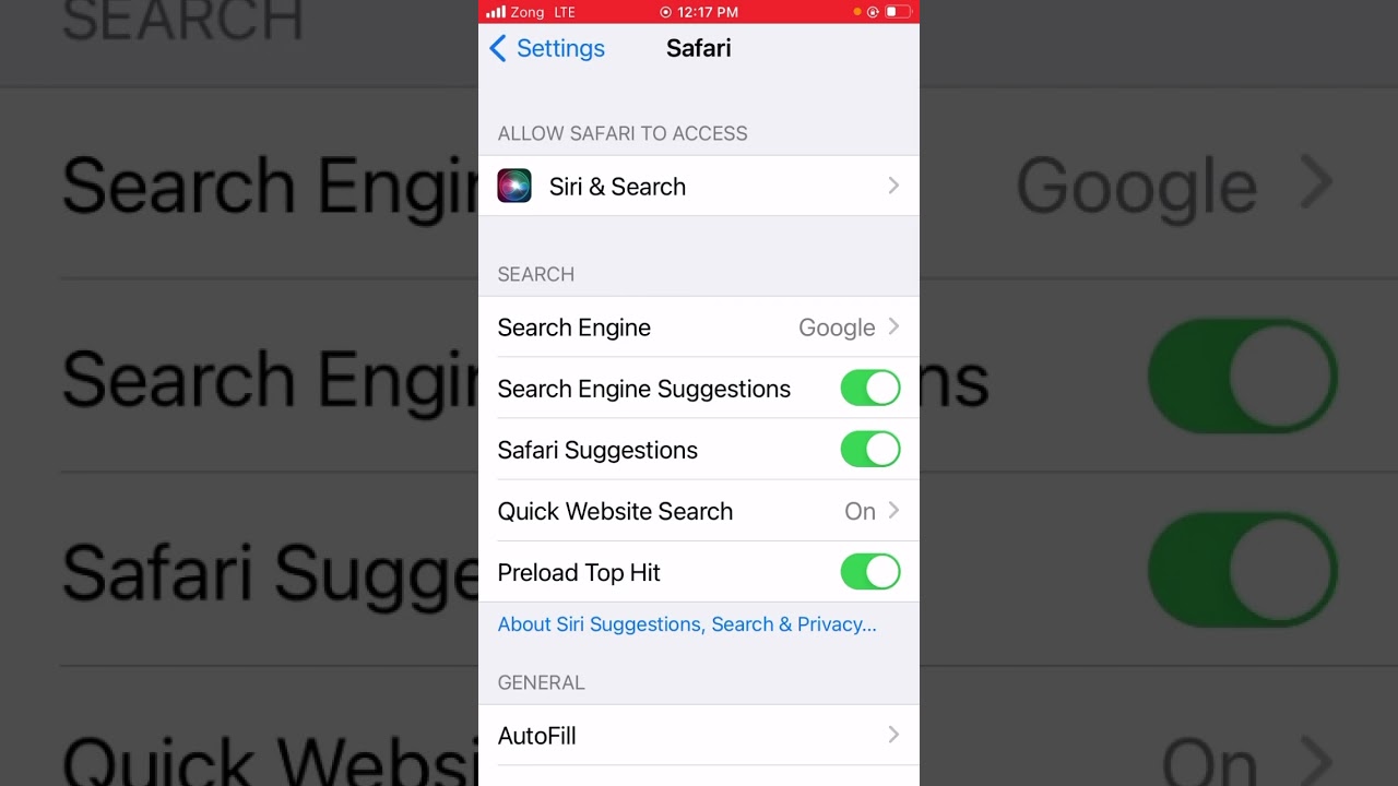 safari cannot open the page because iphone is not connected to internet