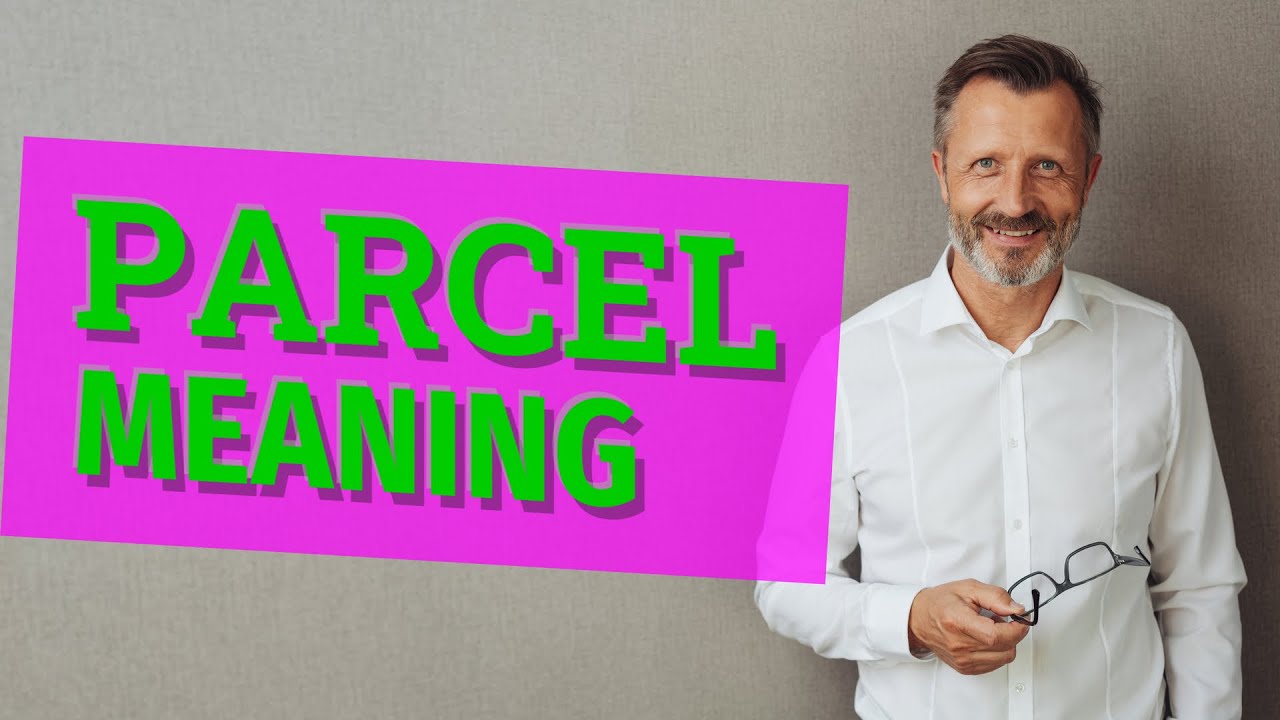 Parcel | Definition of parcel