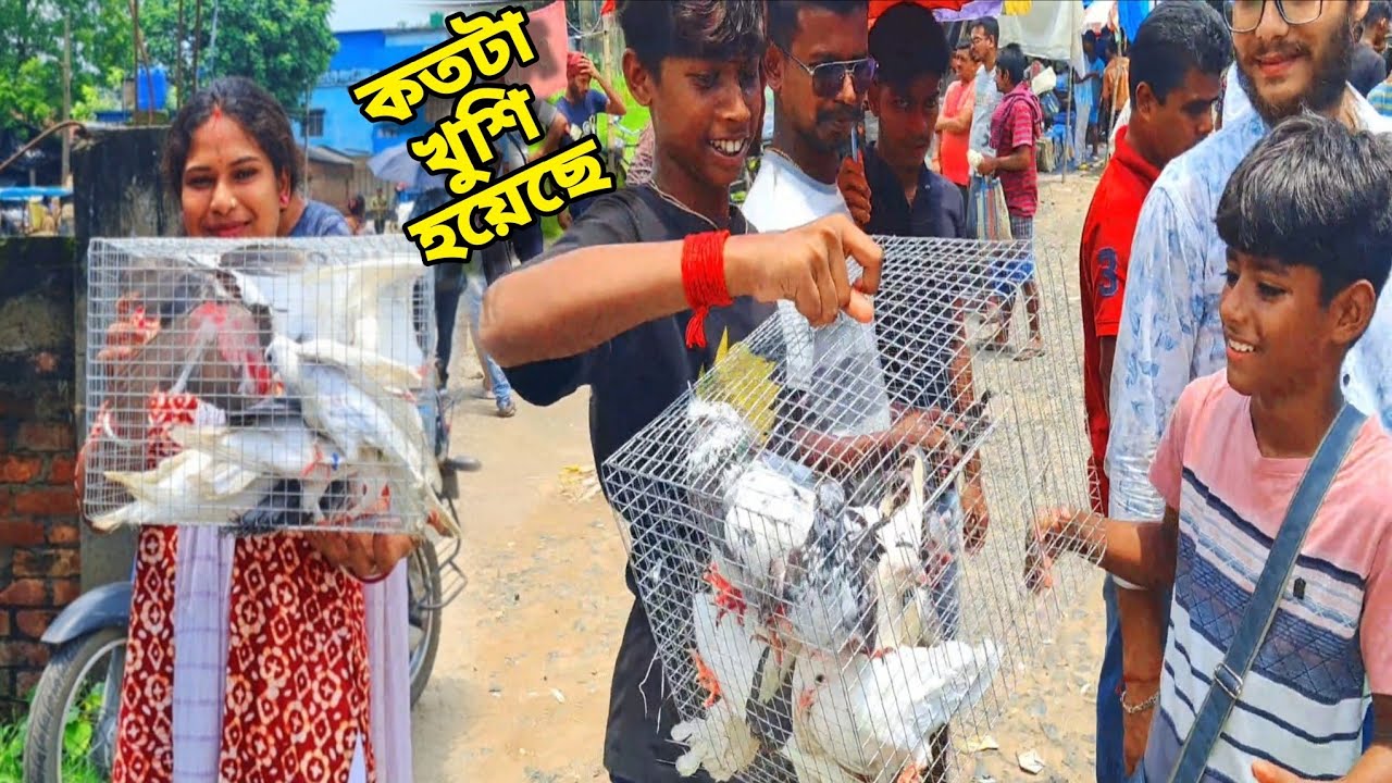 হাঁটে গিয়ে এক ঝুড়ি কবুতর গিফ্ট করলাম || My Birds Caloni Vlog- #newvlog #birdsvlog #petsvlog 
