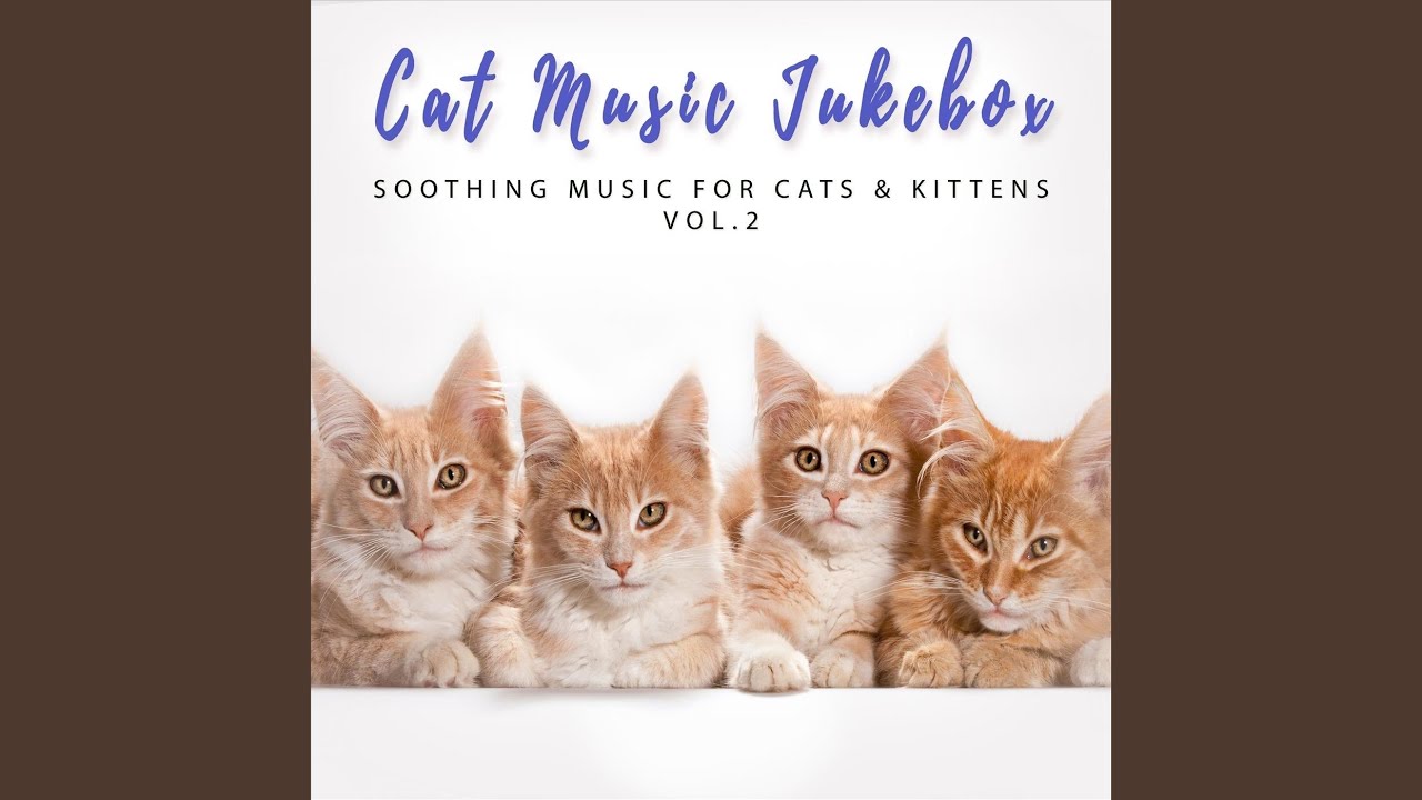 To All Cat Lovers