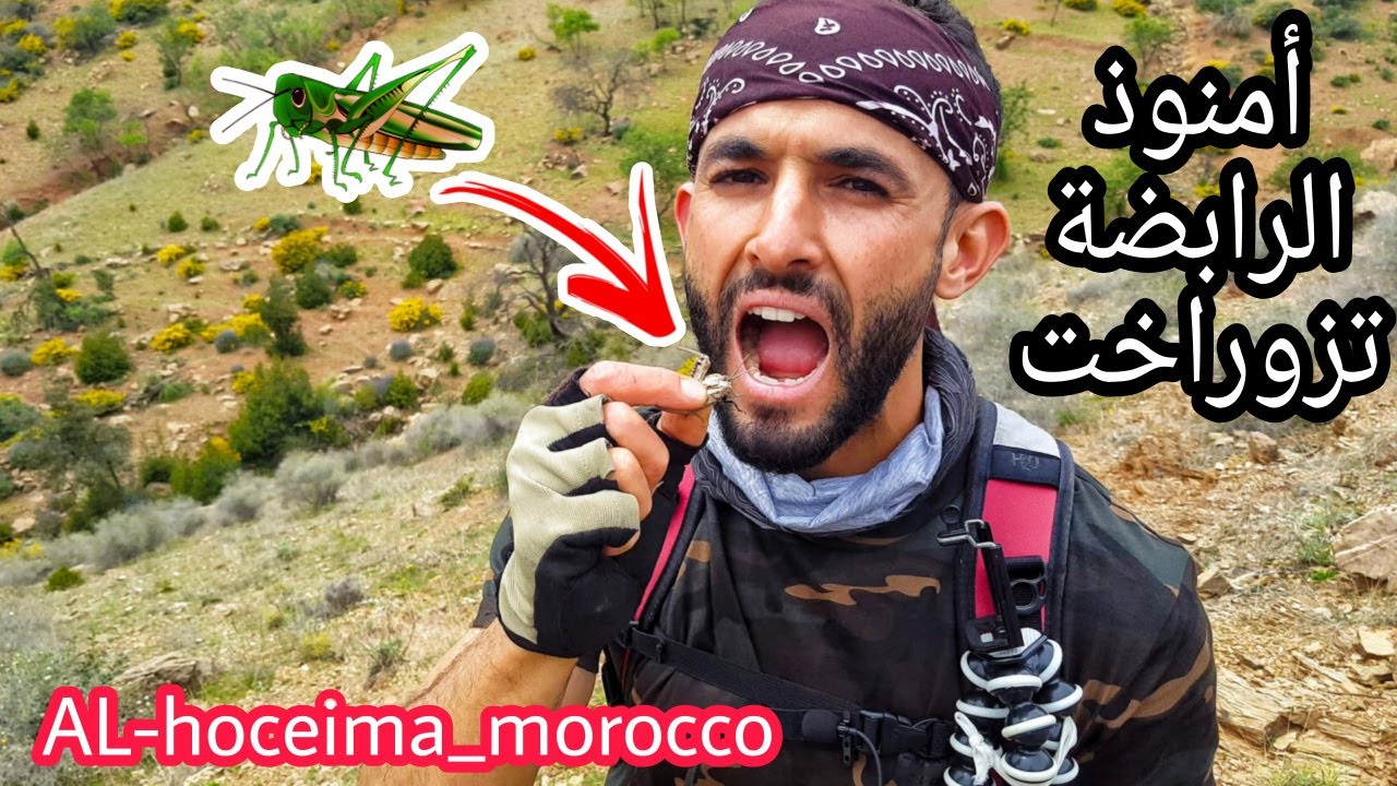 أكلت حشرة الجراد أمام الكاميرا أثناء مغامرتي في جبال الريف