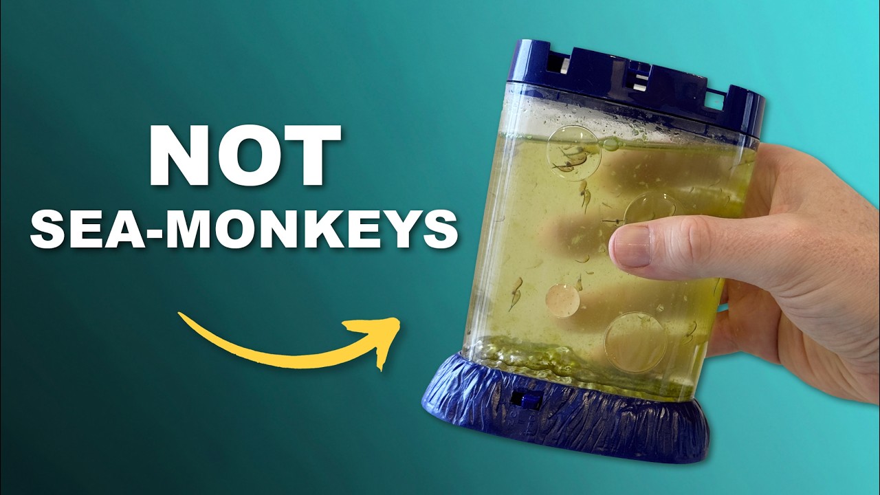 Найдена давно потерянная пиратская копия Sea-Monkeys! | Обзор Sea-Babies