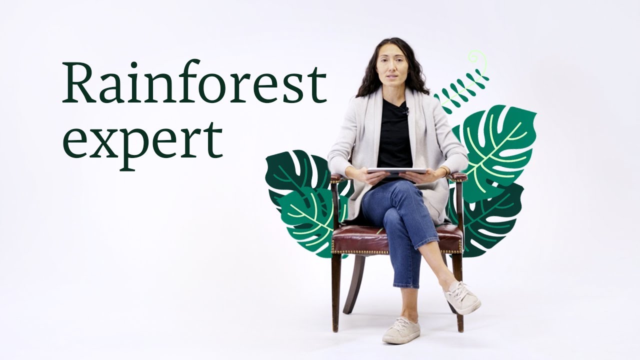 Top tools to protect rainforests | Against All Odds