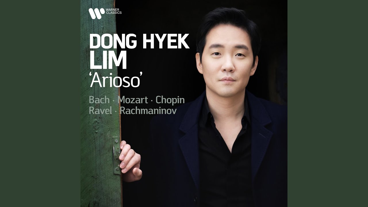 Violin Sonata No. 26 in B-Flat Major, K. 378: II. Andantino sostenuto e cantabile