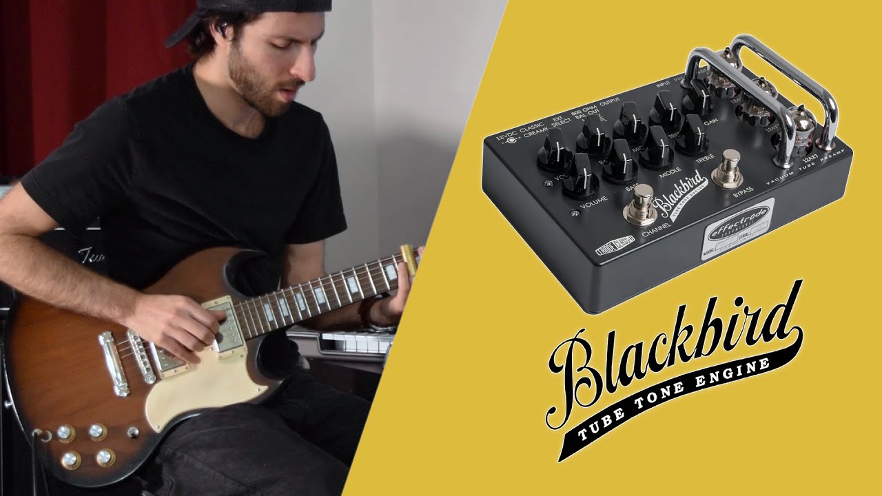 Effectrode BlackBird Preamp | A Tube Amp in a Pedal 👀