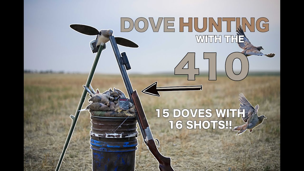 SOLO DOVE HUNT with the 410 I How to get a quick LIMIT