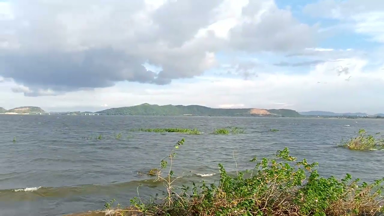 Salonia at monsoon