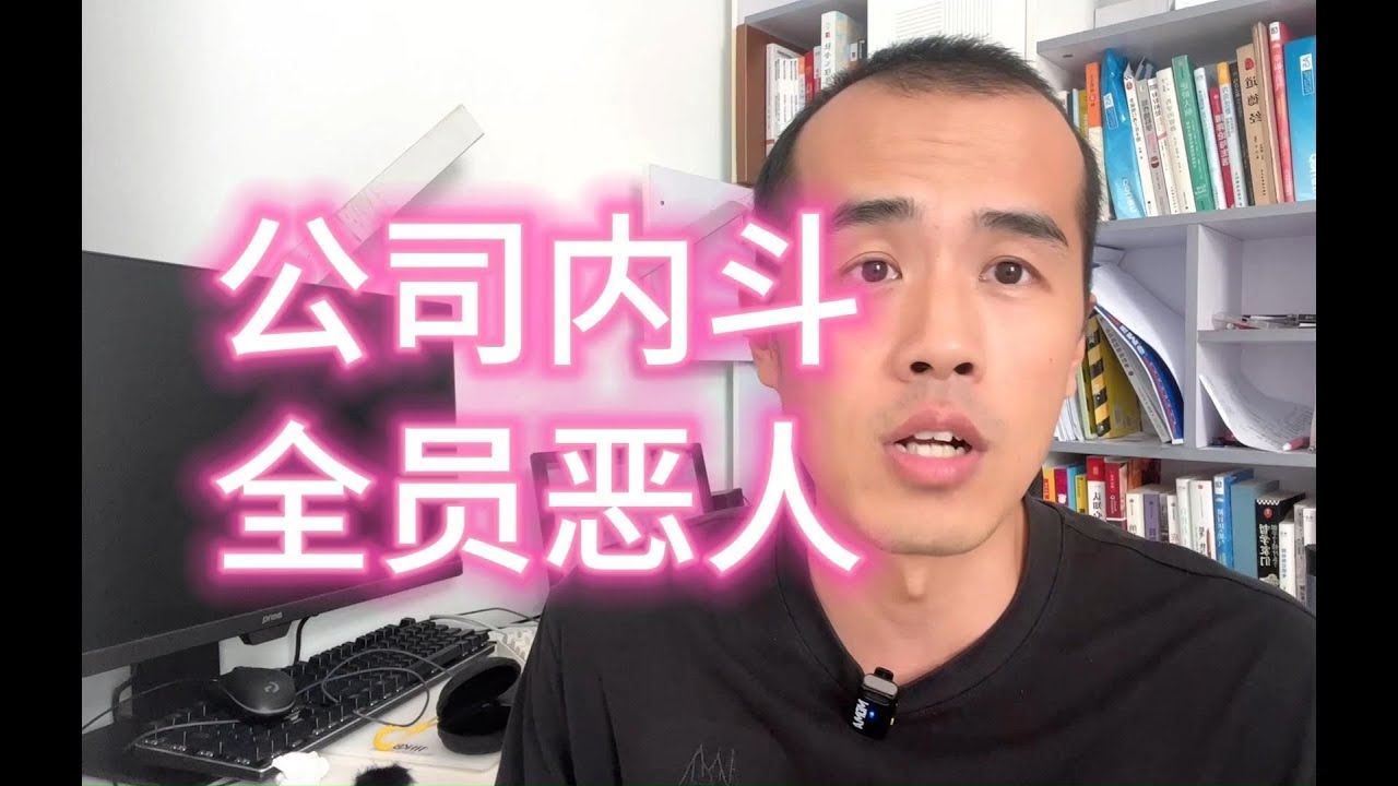 【程序员历险记13】从国企离职，我都经历了什么！公司内斗，全员恶人！