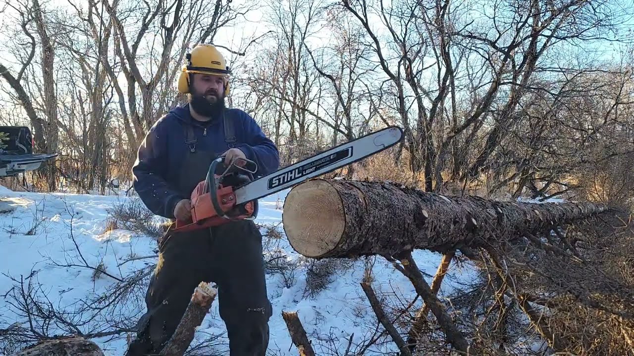 Hogans 266xp. Testing the pipe and saw in a real world scenario.