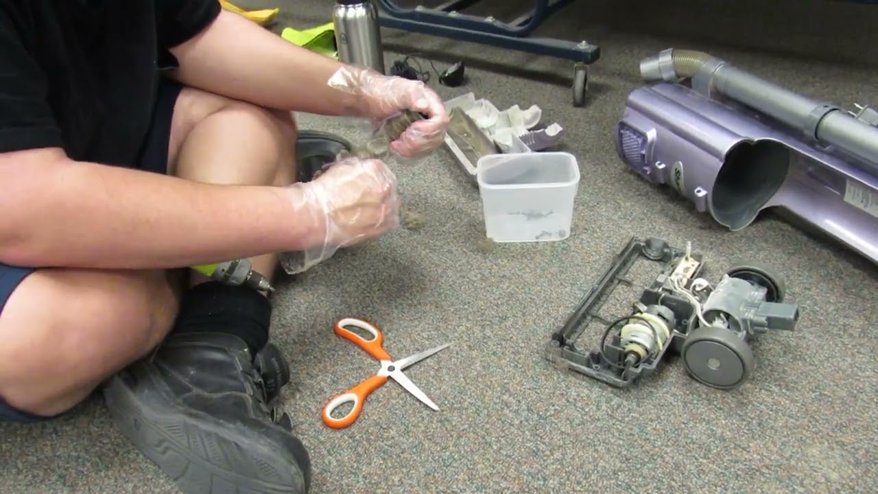 В МУСОР! Shark Navigator nv22l. Глубокая очистка!