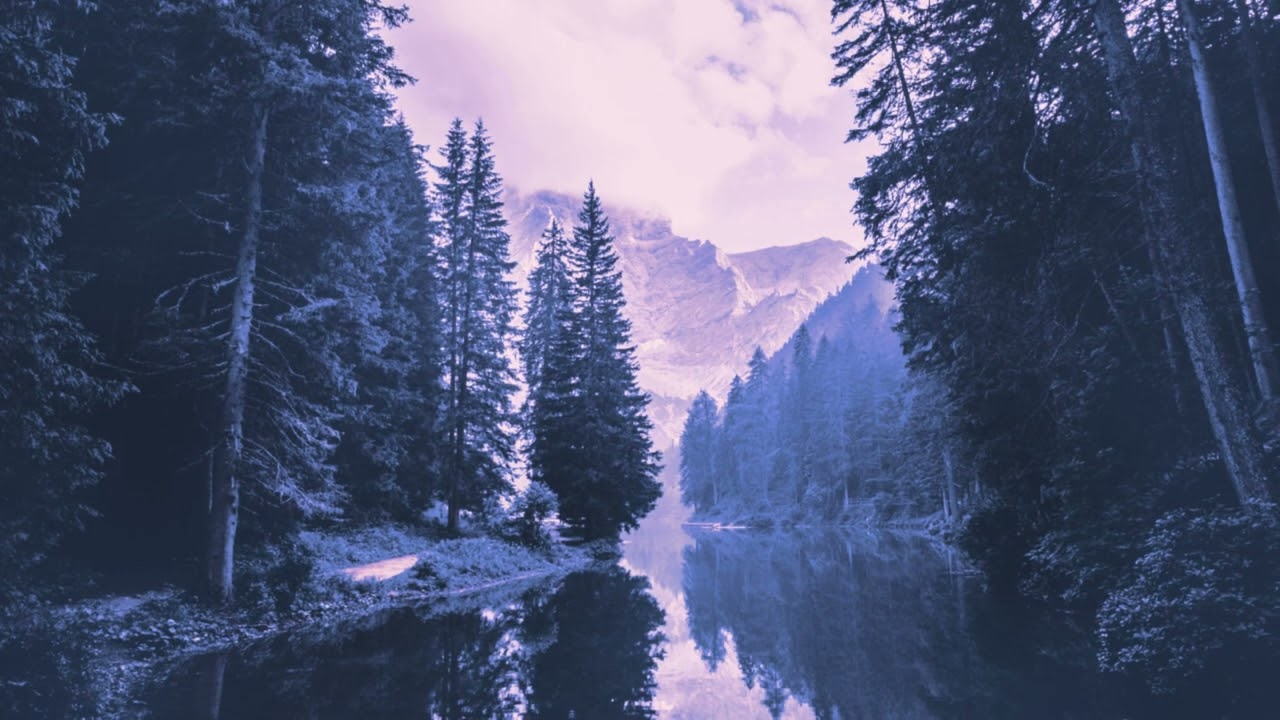 You take a moment to reflect.