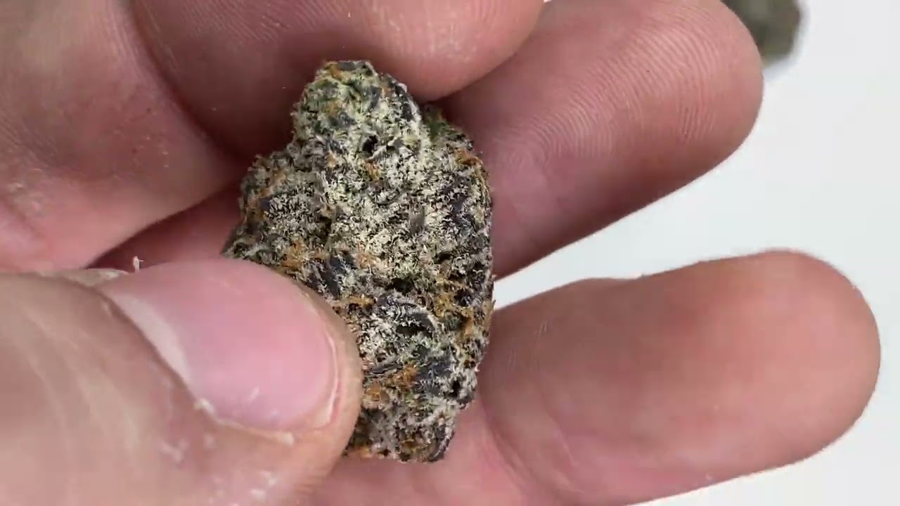 Cannacentric Recurring Pickups Series Ep. 9- Slurricrasher
