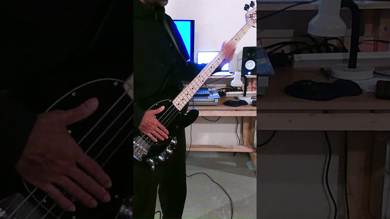Beans and Rice Music - The Purity Law