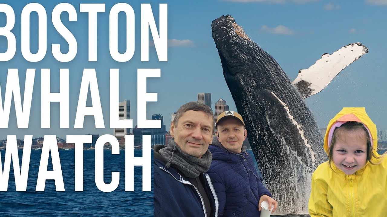 Whale watch