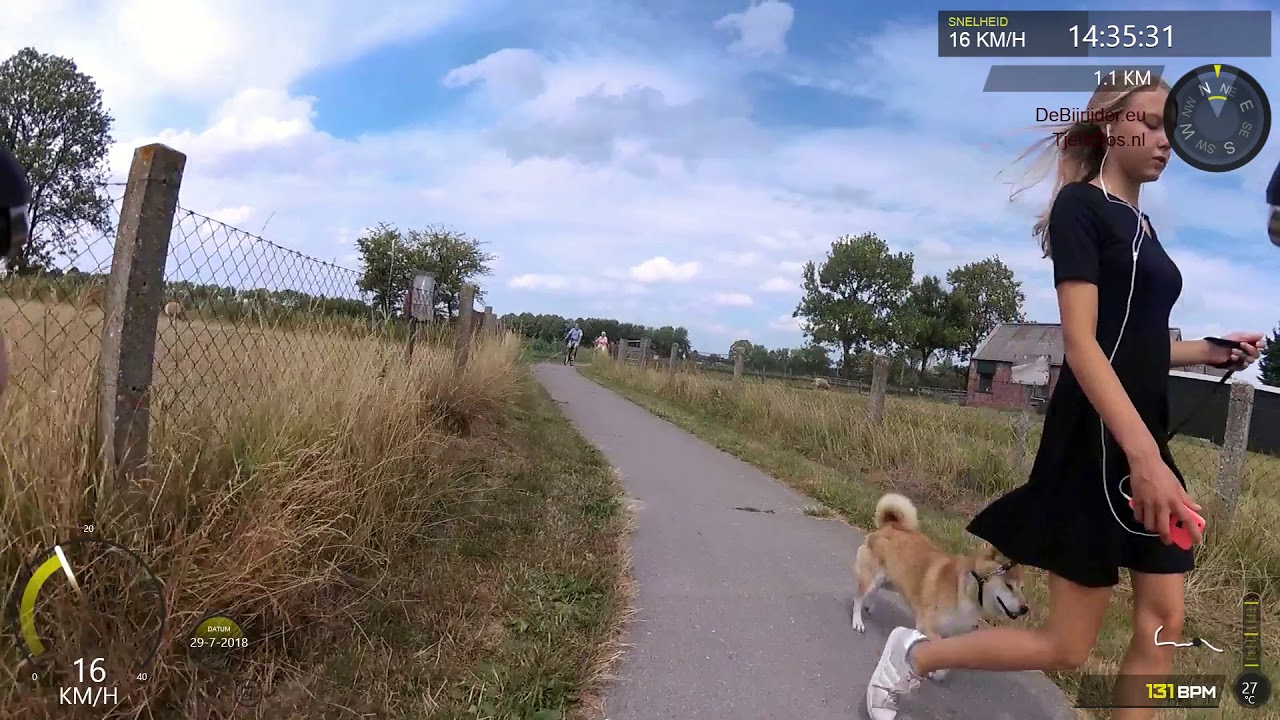 cTB - Boerdam - Delpad W-O (einde rechts) 01.