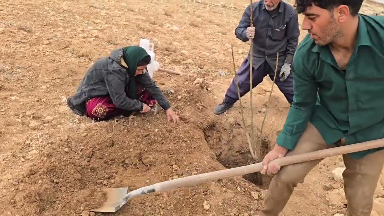 ۱۰ مارس ۲۰۲۶
