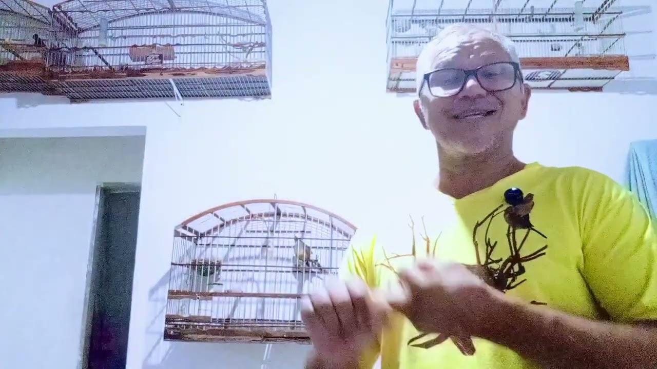Como fazer Sabiá cantar muito bem facinho 