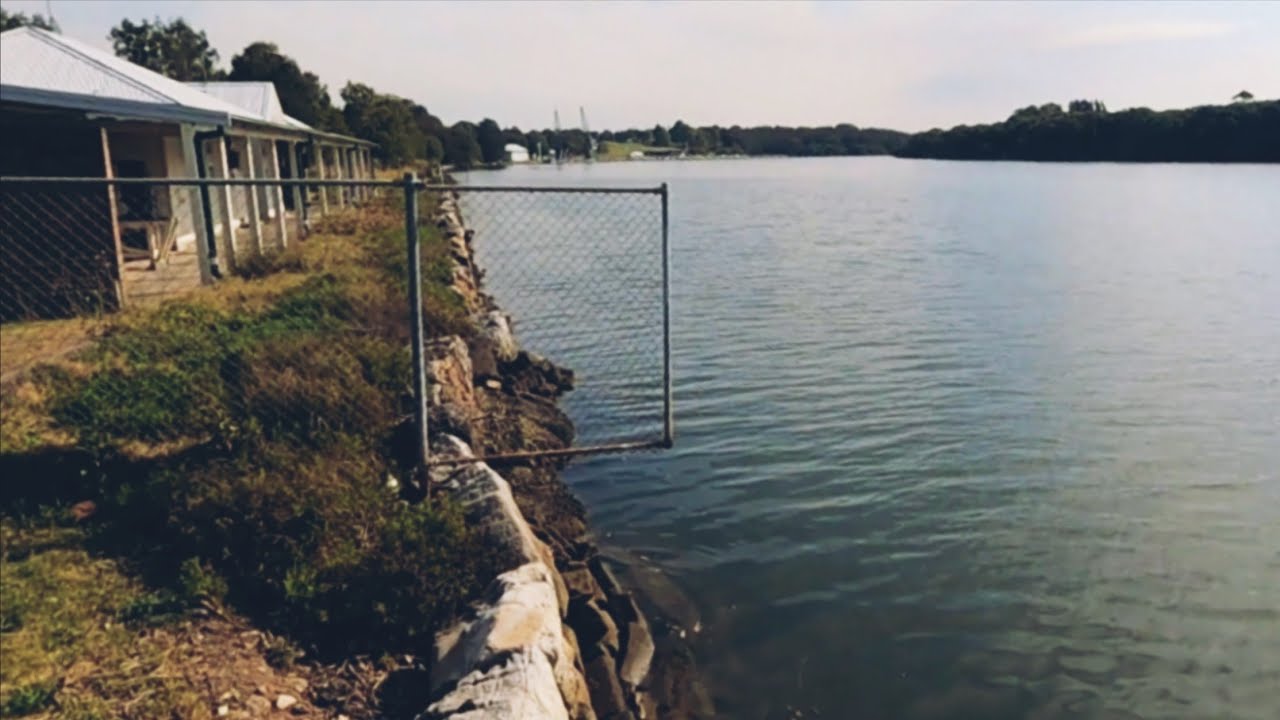 MULTI SPECIES (Parramatta river) CHALLENGE