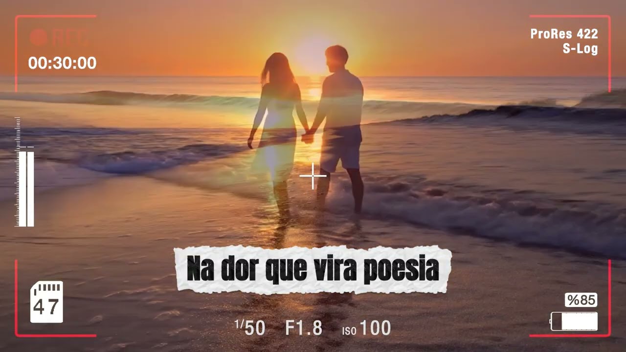 Entre o Sol e o Silêncio