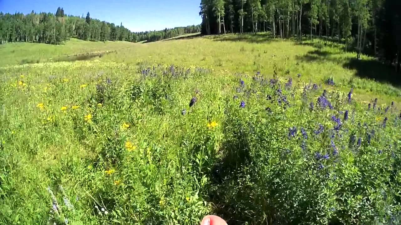 Exploring the WWTS at the 2015 Meeker Rendezvous