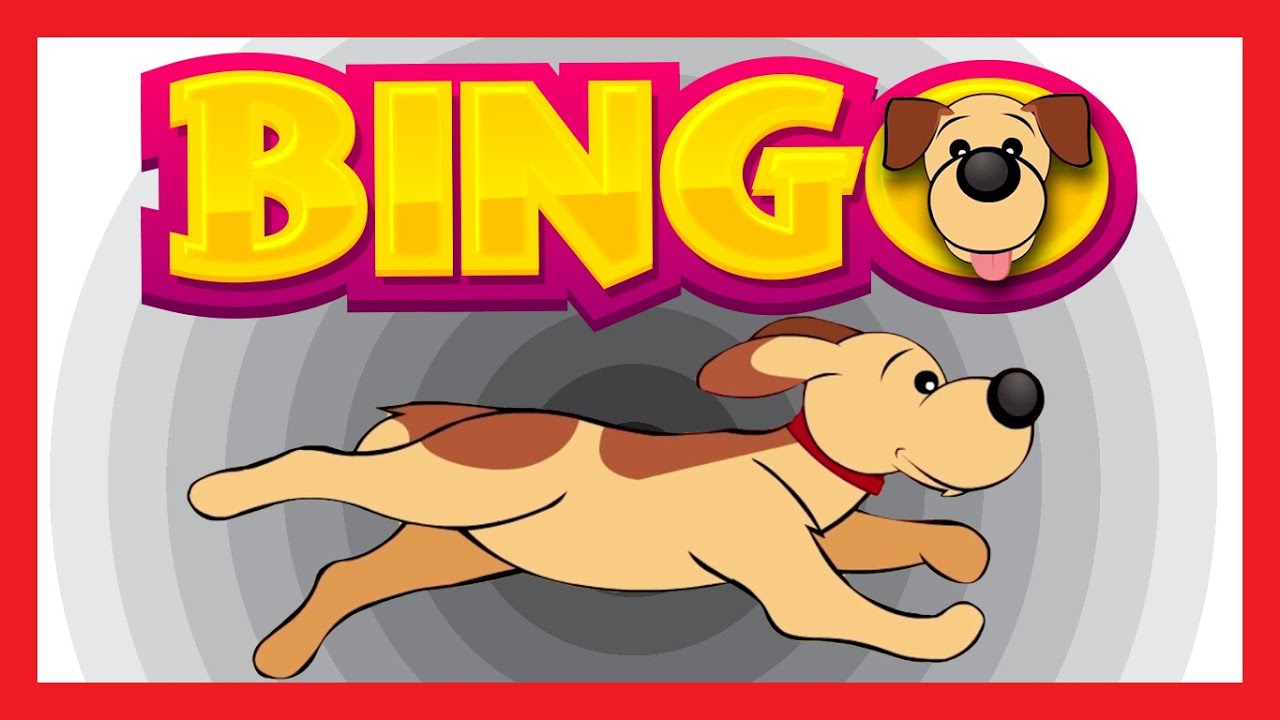 BINGO DOG SONG