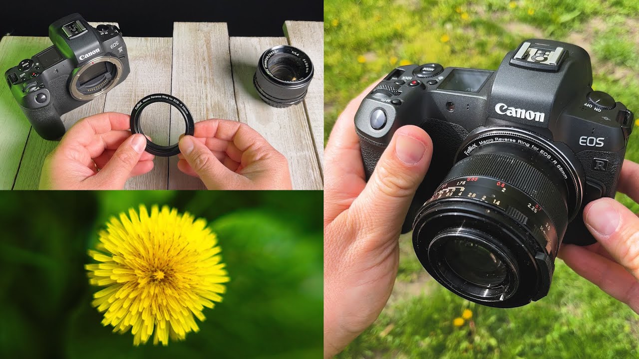 Turn Any Lens into a Macro Lens with Fotodiox Macro Reverse Rings 