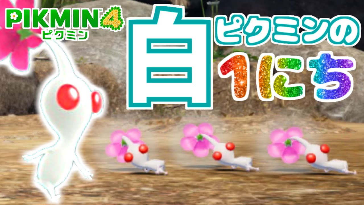 白ピクミンの1日【ピクミン4】【PIKMIN4】White  Pikmin's Routine
