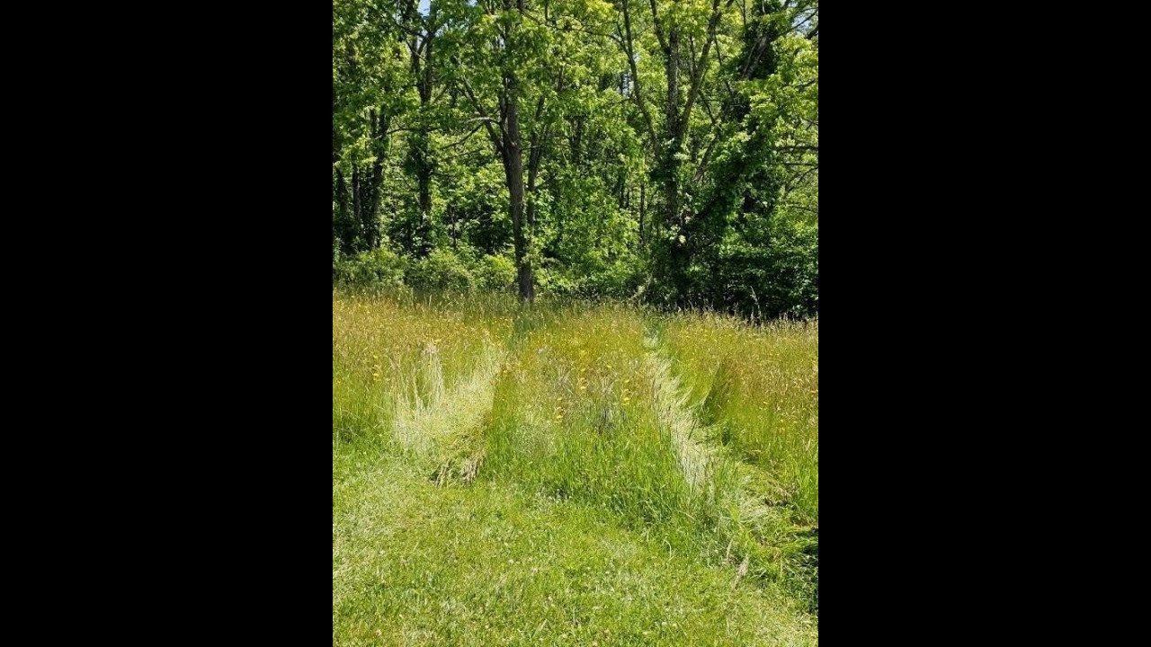 0 Red Oak Ridge Road | BLUEFIELD Real Estate