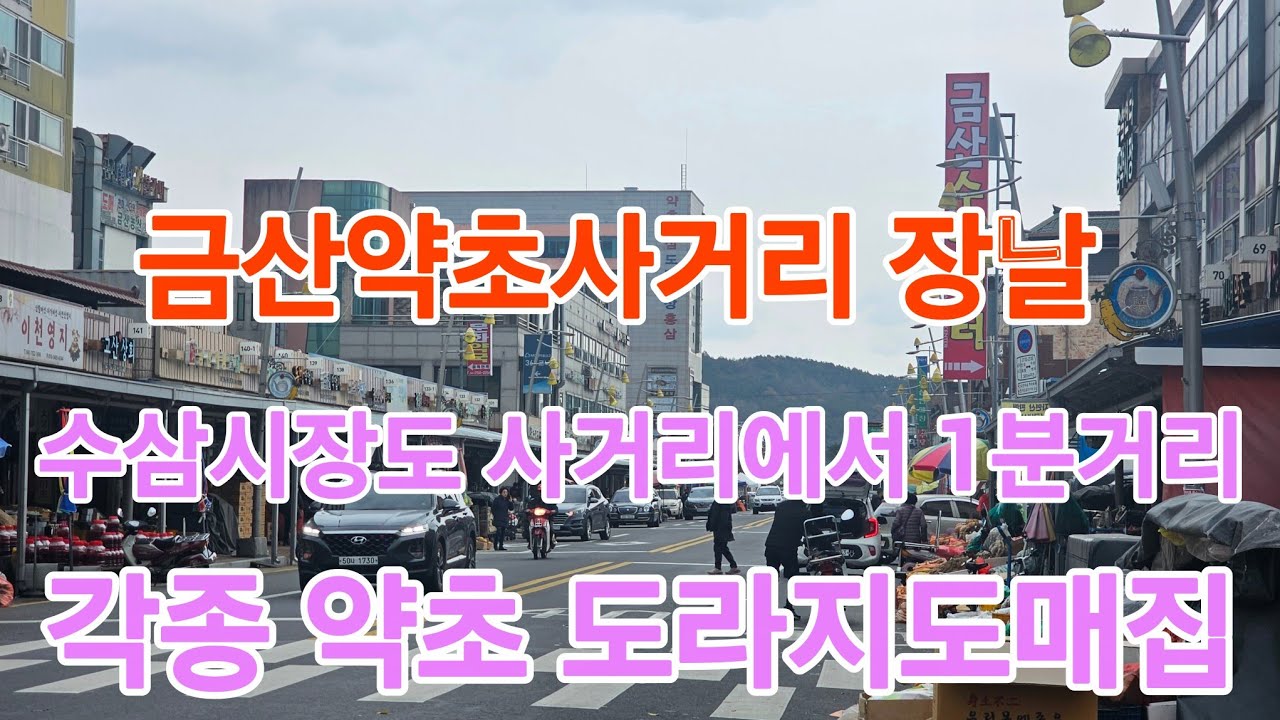 충남 금산 약초시장 장날 각종 약초.