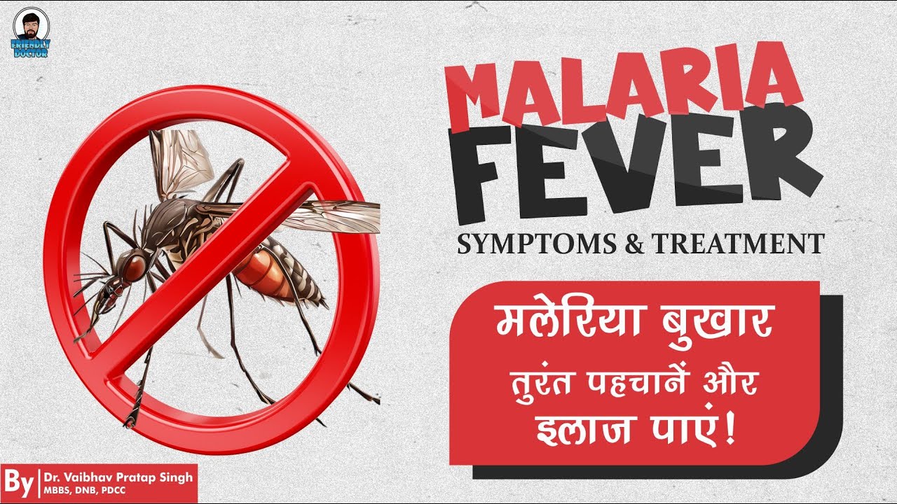 Malaria Fever: Symptoms and Treatment