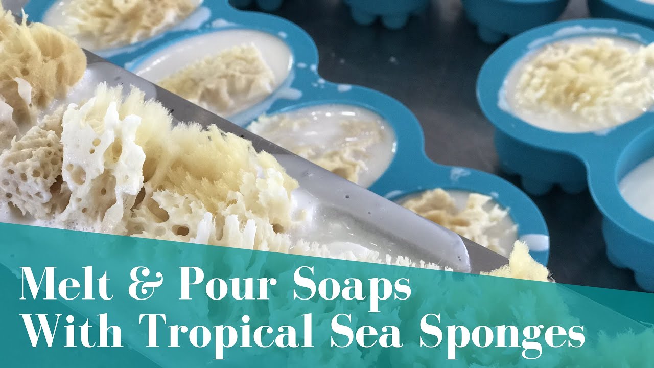 Tropical Sea Sponges Melt & Pour Soap Project