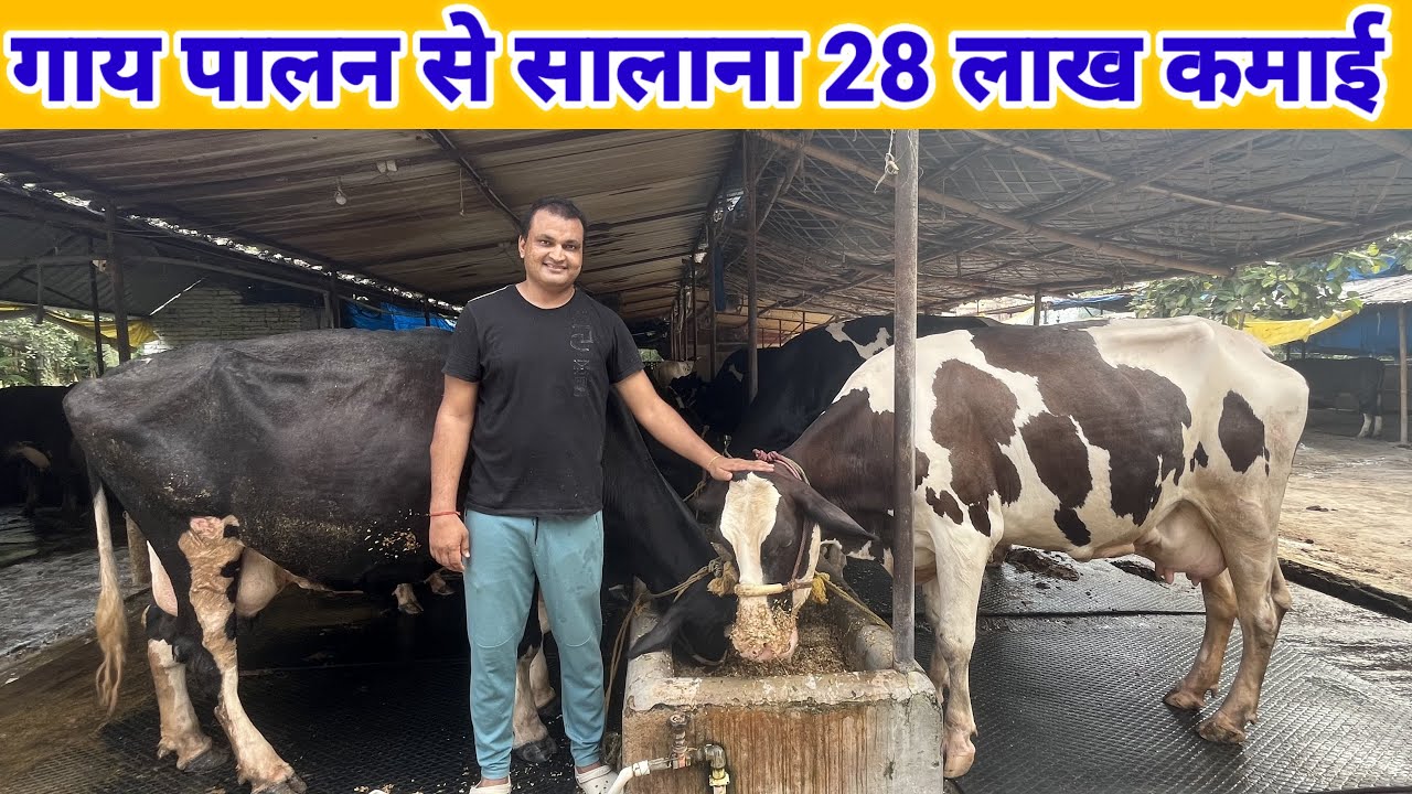 गाय पालन से 28 लाख सालाना कमाई | bihar no.1 dairy farm | TDM dairy farm