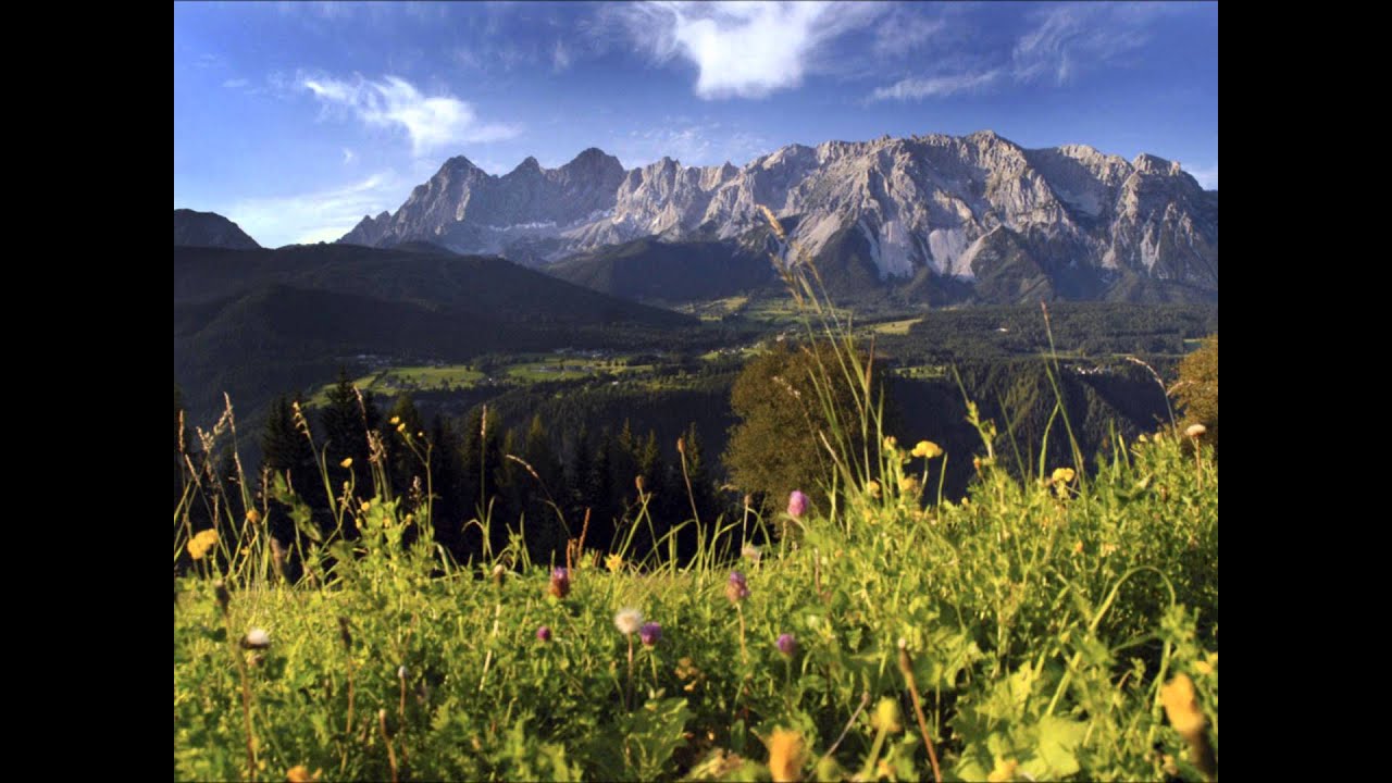 Johann Strauss Op.167 Man lebt nur einmal / You only live once