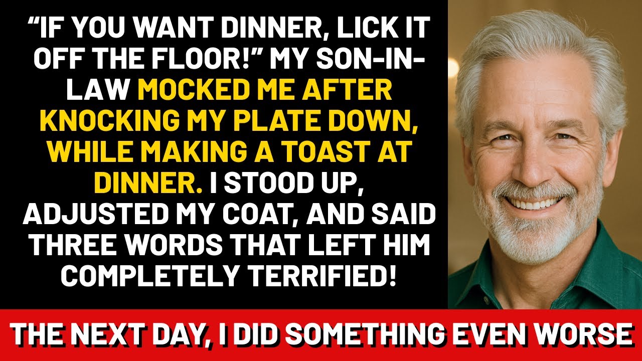 'If you want dinner, lick it off the floor!' my son-in-law mocked me after knocking my plate down