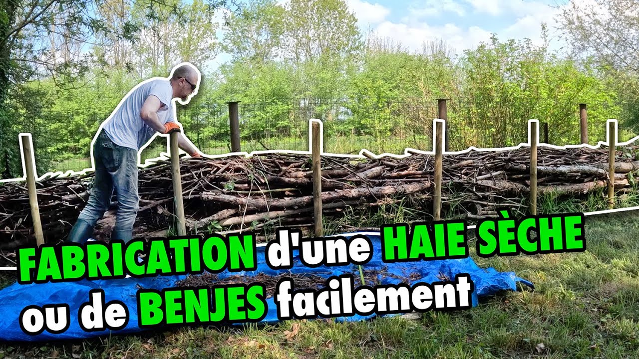 Fabriquer une Haie Sèche (Haie de Benjes) Facilement | Tuto Écologique & Zéro Déchet au Jardin