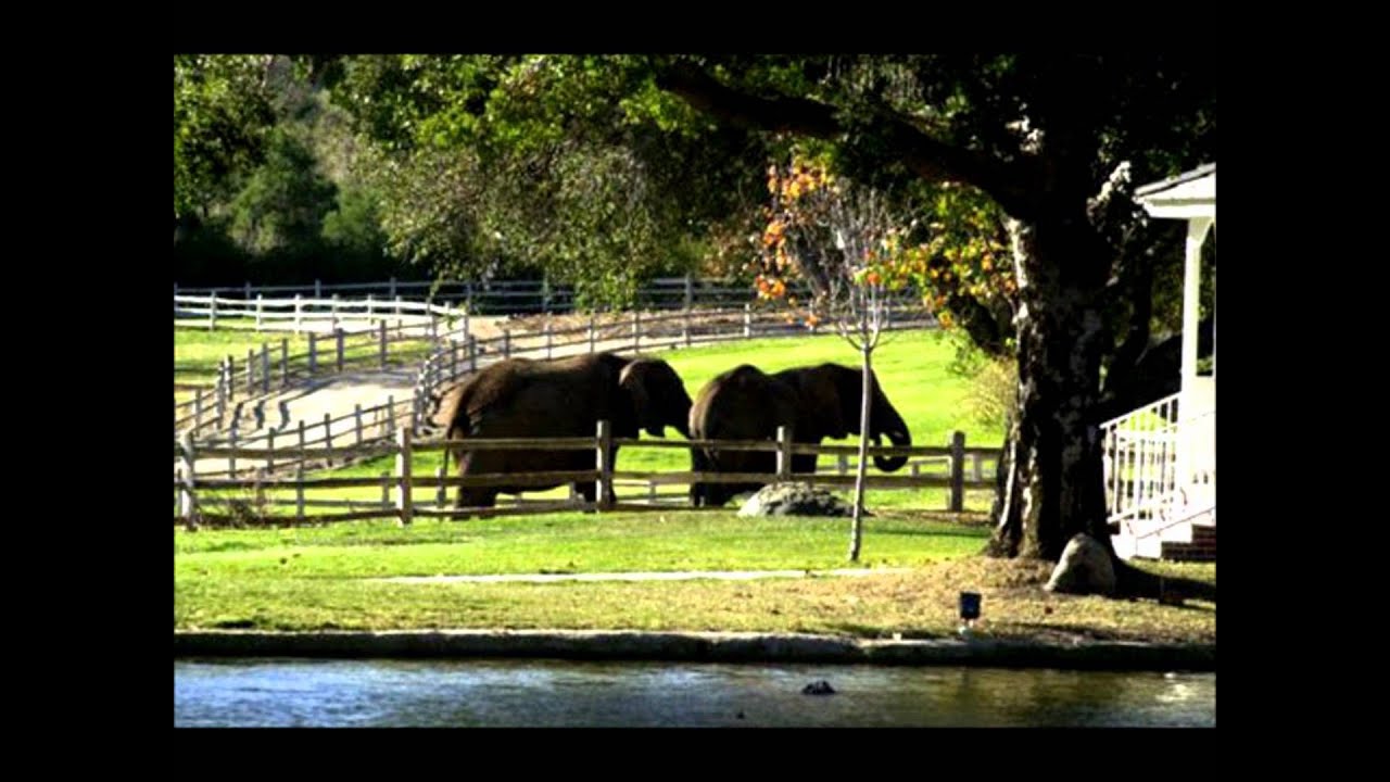 A Tour of Michaels Neverland - New Version