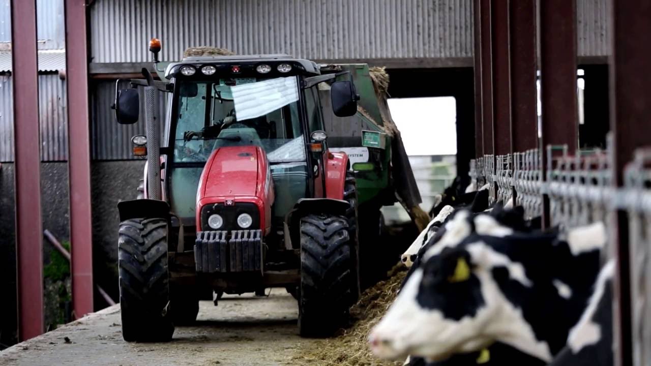 Farm accident survivor story by Wallace Gregg