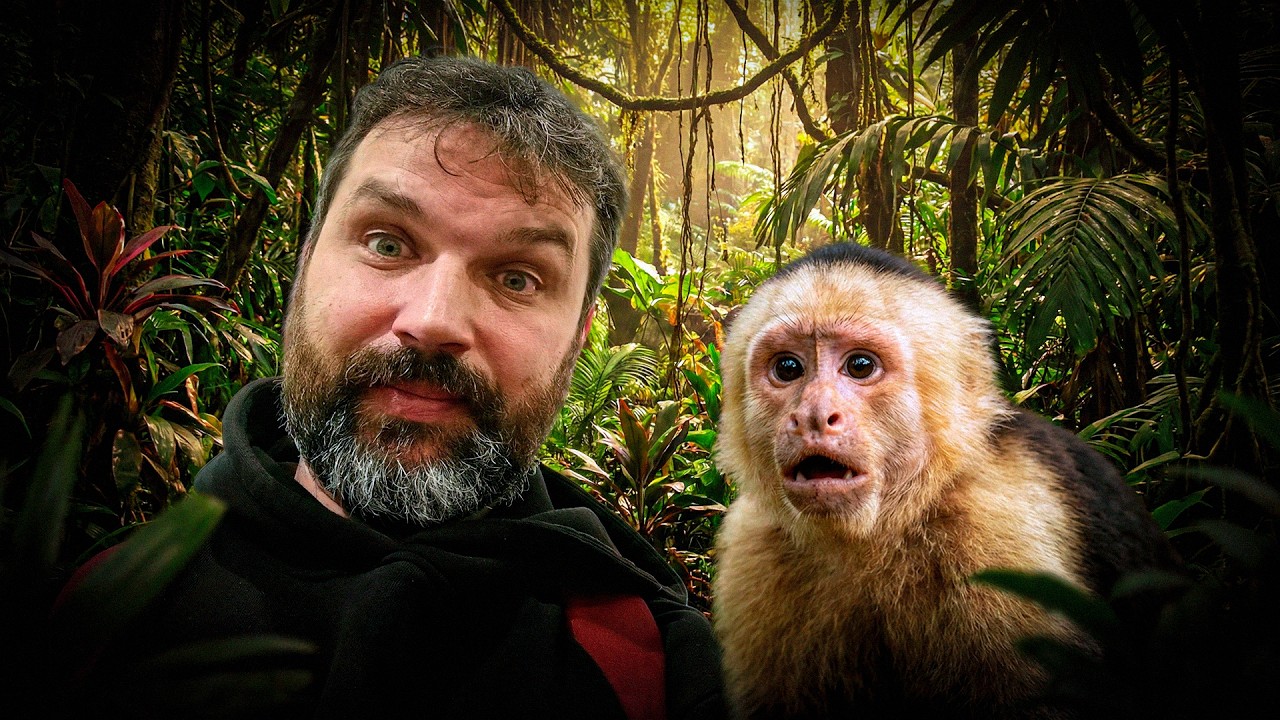 Самый безумный строительный проект века – Обзор ролика