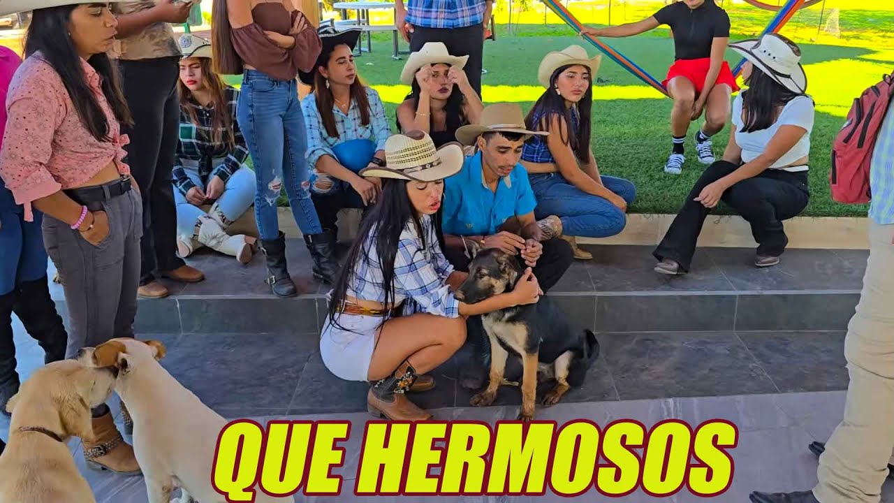Esta chica se enamora de los perritos de Jonathan.