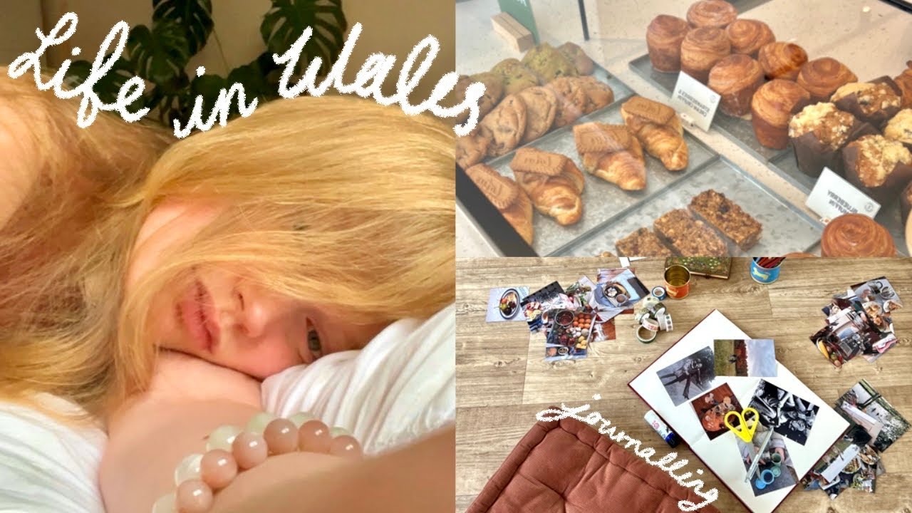 peaceful days in wales ᰔᩚ life updates, manifestation journalling + dog-sitting