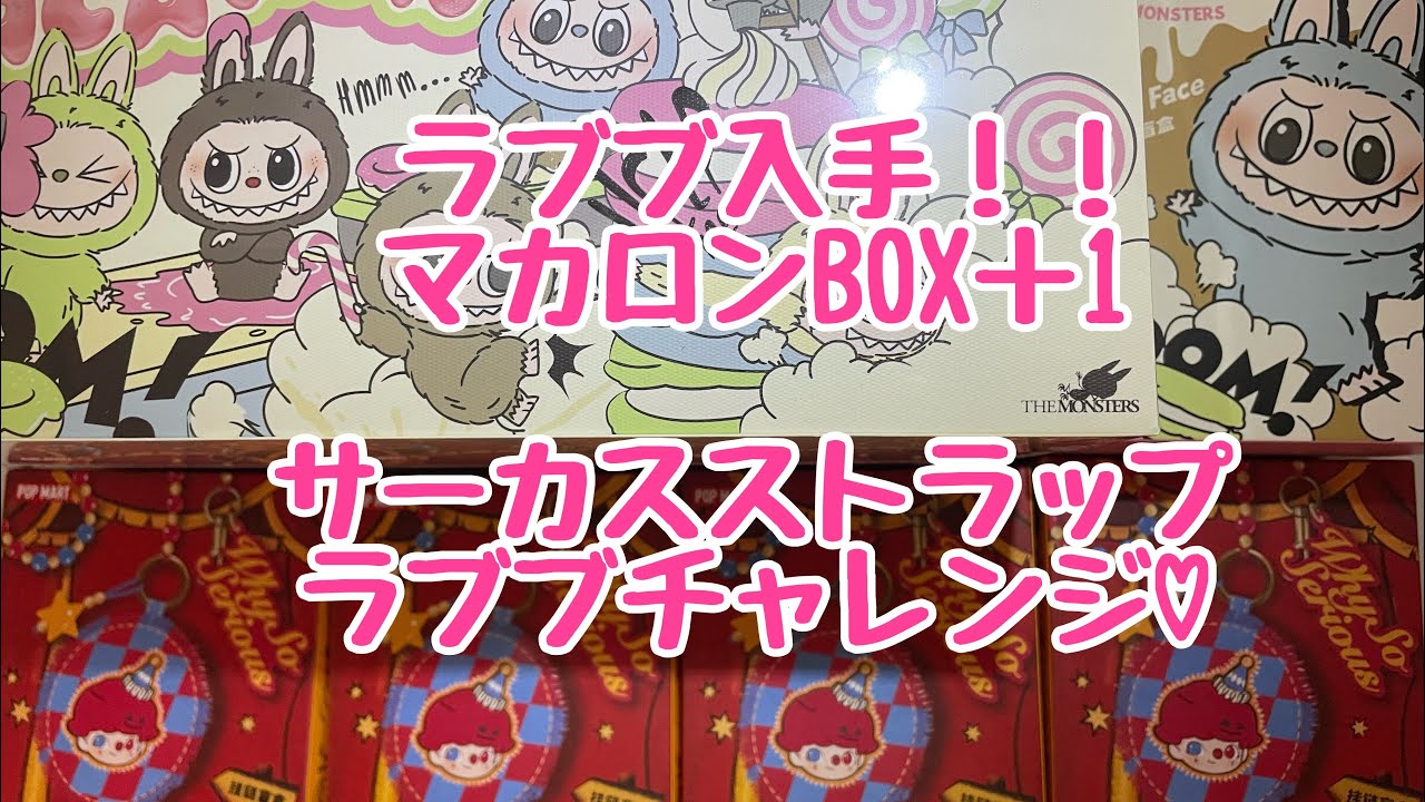 【開封動画】ラブブ マカロン 1BOX ＋1 大人気サーカス ストラップ ♡♡ #ラブブ #excitingmacaron #whysosyrios #labubu #開封動画