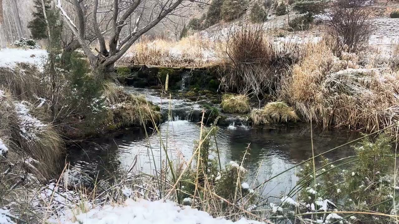 Sonido de río real para relajarse | momentos de calma 