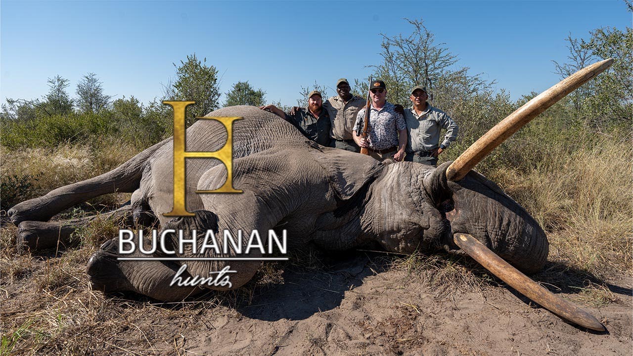 Hunting Botswana's Giant Elephant