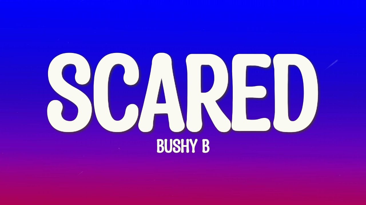 scared to get attached, people get hurt like that - bushy b (Lyrics)