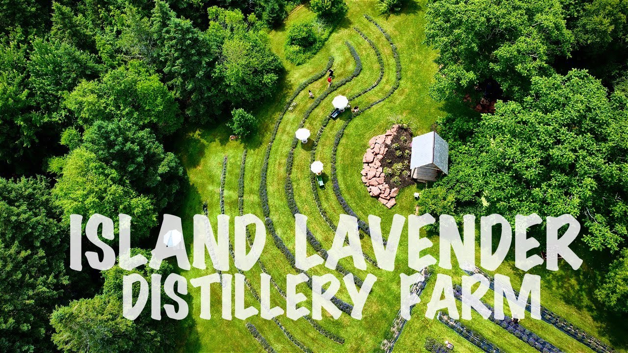 ISLAND LAVENDER DISTILLERY FARM PEI | LAVENDER FARM | PRINCE EDWARD ISLAND, CANADA
