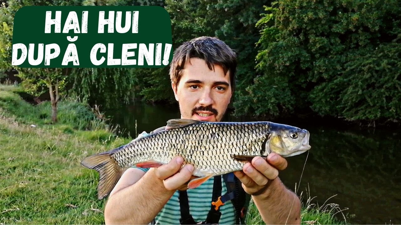 Am Prins CLENI FRUMOSI pe NEAJLOV