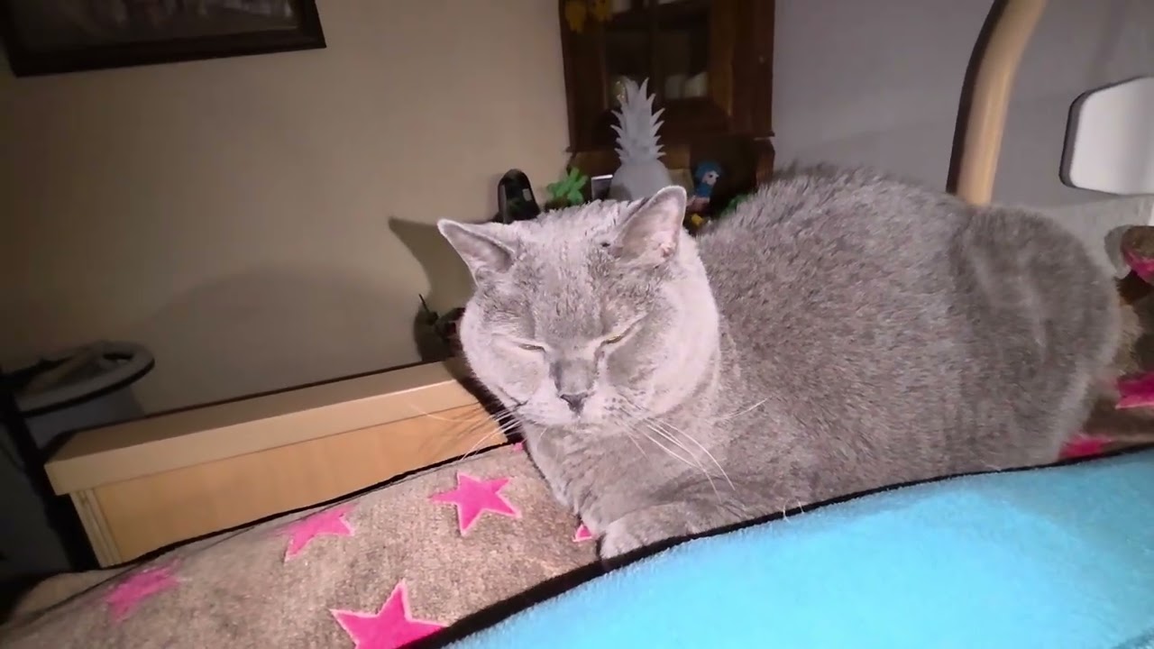 Eine Spritze hat mich ausgenockt