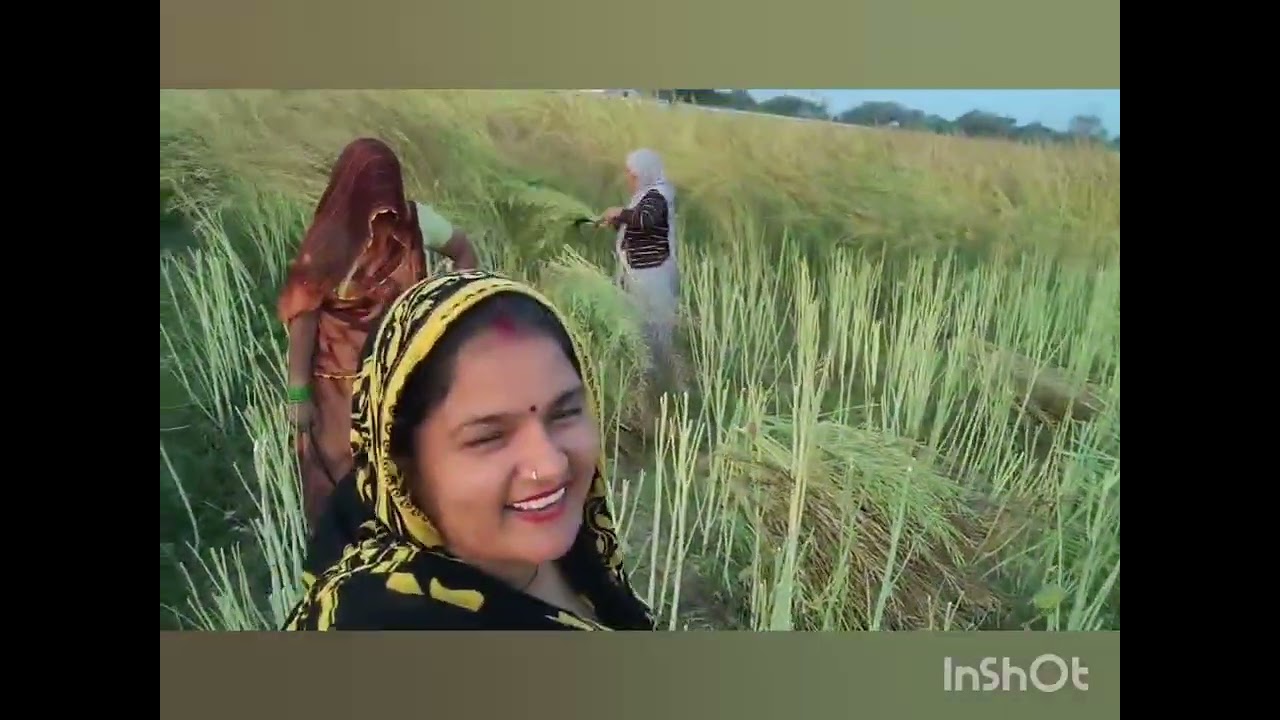 आज मैं आई लाया की कटाई करवाने💐💐