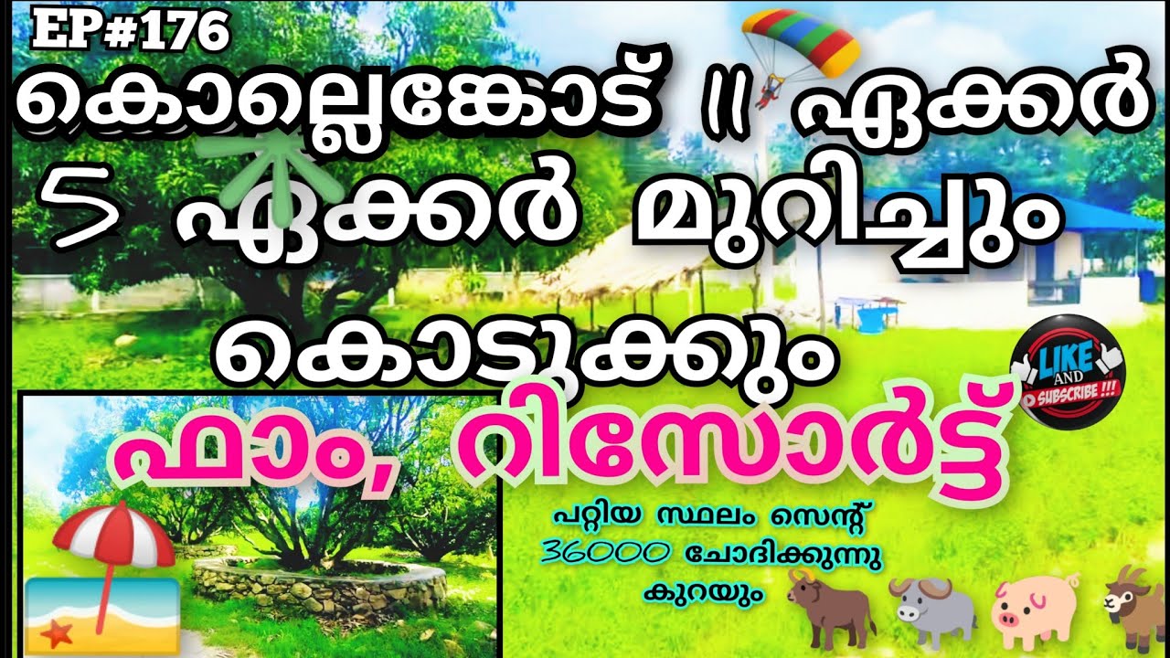 വില പാകത്തിന് കൊല്ലങ്കോട് റിസോർട്ട് ,ഫാം തുടങ്ങാൻ പറ്റിയ സ്ഥലം11ഏക്കർ അതിൽ 5 ഏക്കർ മുറിച്ചു നൽകും 👌