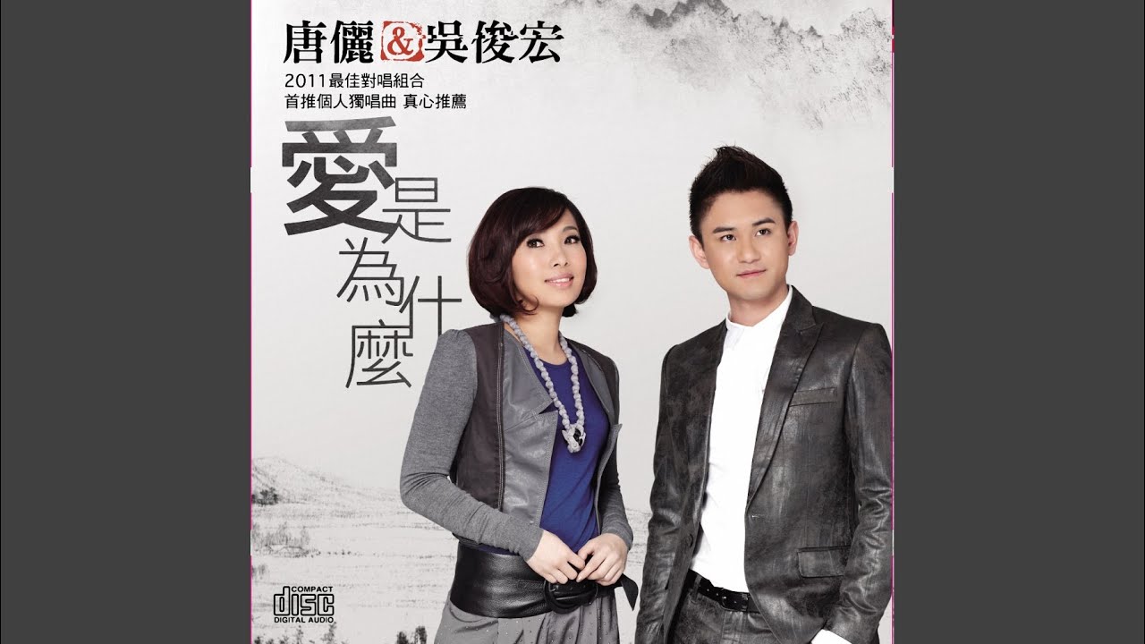 不曾說愛你